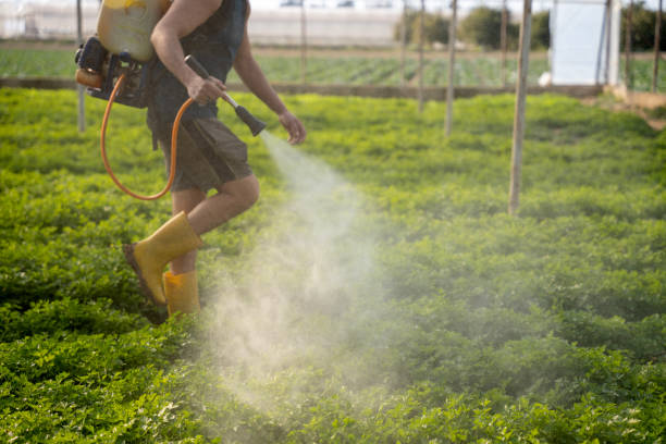 Professional Pest Control in Lorena, TX